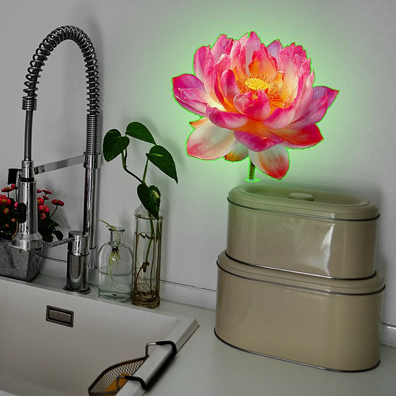 Im Dunkeln leuchtende Toilette – Jet Home Bathroom Bewertung und Preis