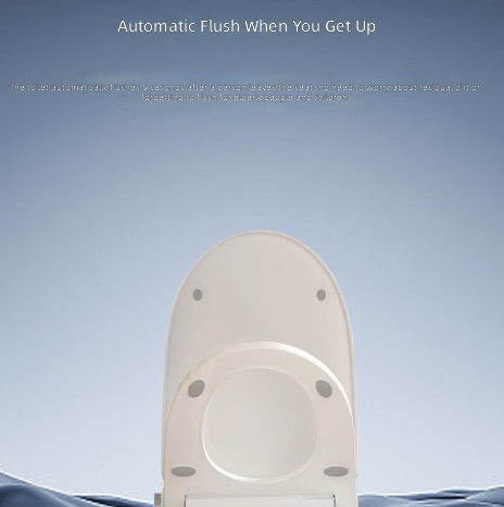 Beheizbarer Intelligenter Toil – Home Bathroom Toilet Bewertung und Preis