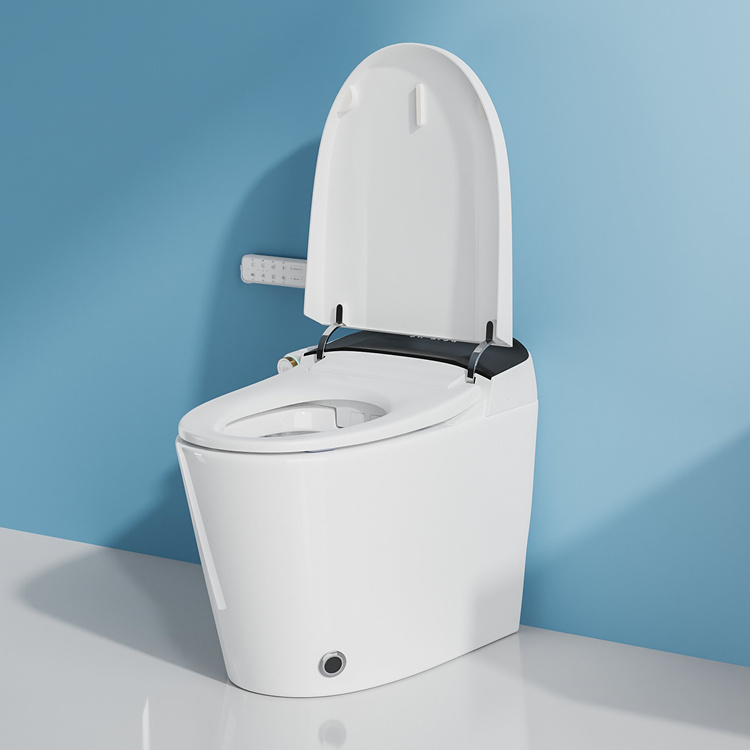 Heimdekoration Badezimmer Inte – Home Bathroom Toilet Bewertung und Preis