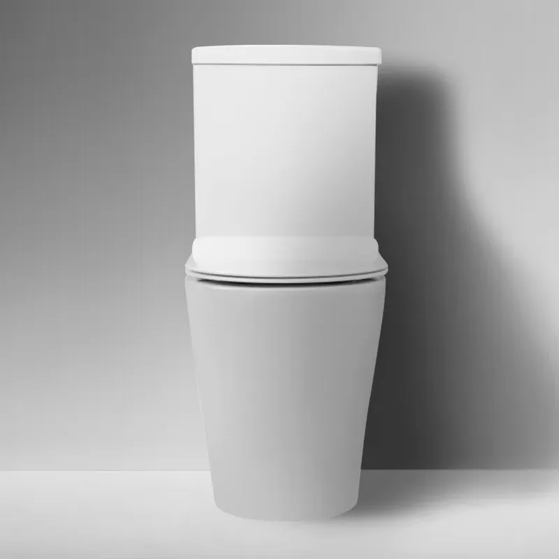 Modernes, hochwertiges Keramik – Home Bathroom With Two Toilets Bewertung und Preis