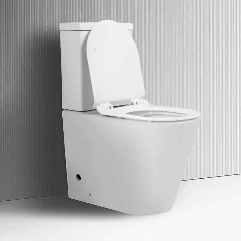 Modernes, hochwertiges Keramik – Home Bathroom With Two Toilets Bewertung und Preis